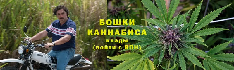 наркота  Киржач  Канабис LSD WEED 